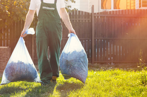 Yard Cleanup Services in Norton, OH