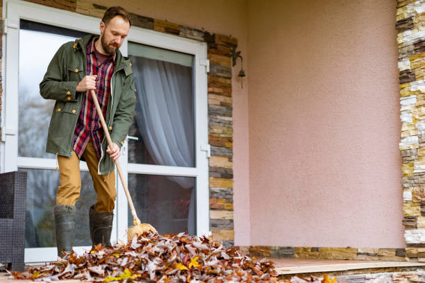 Best Trash Removal Near Me  in Norton, OH